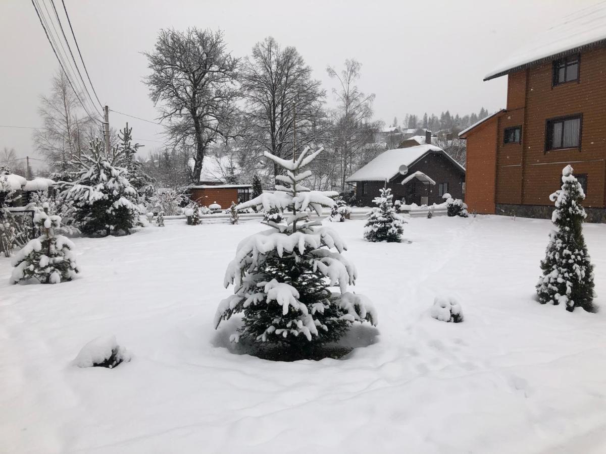 Краєвид Slavske Exteriér fotografie